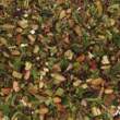 Rooibos detox maté spiruline bio - Vue de détail
