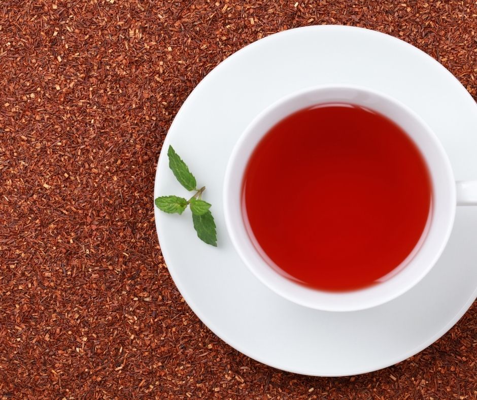 rooibos thé rouge
