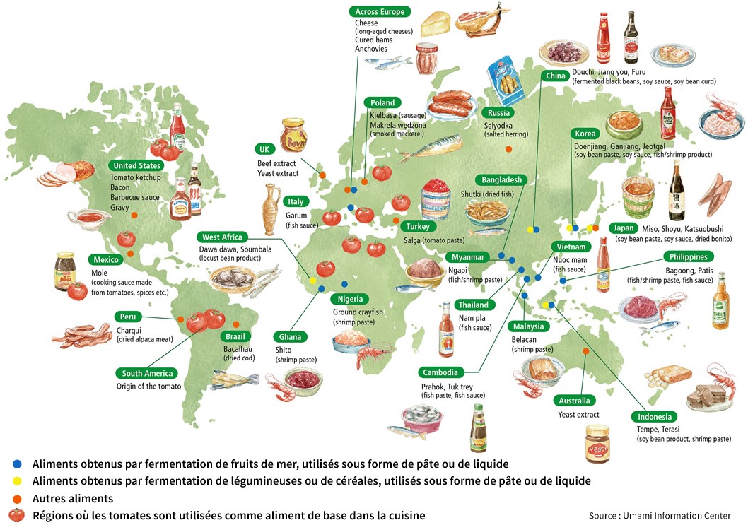 Sur la trace de l'umami, la cinquième saveur - Viande Suisse